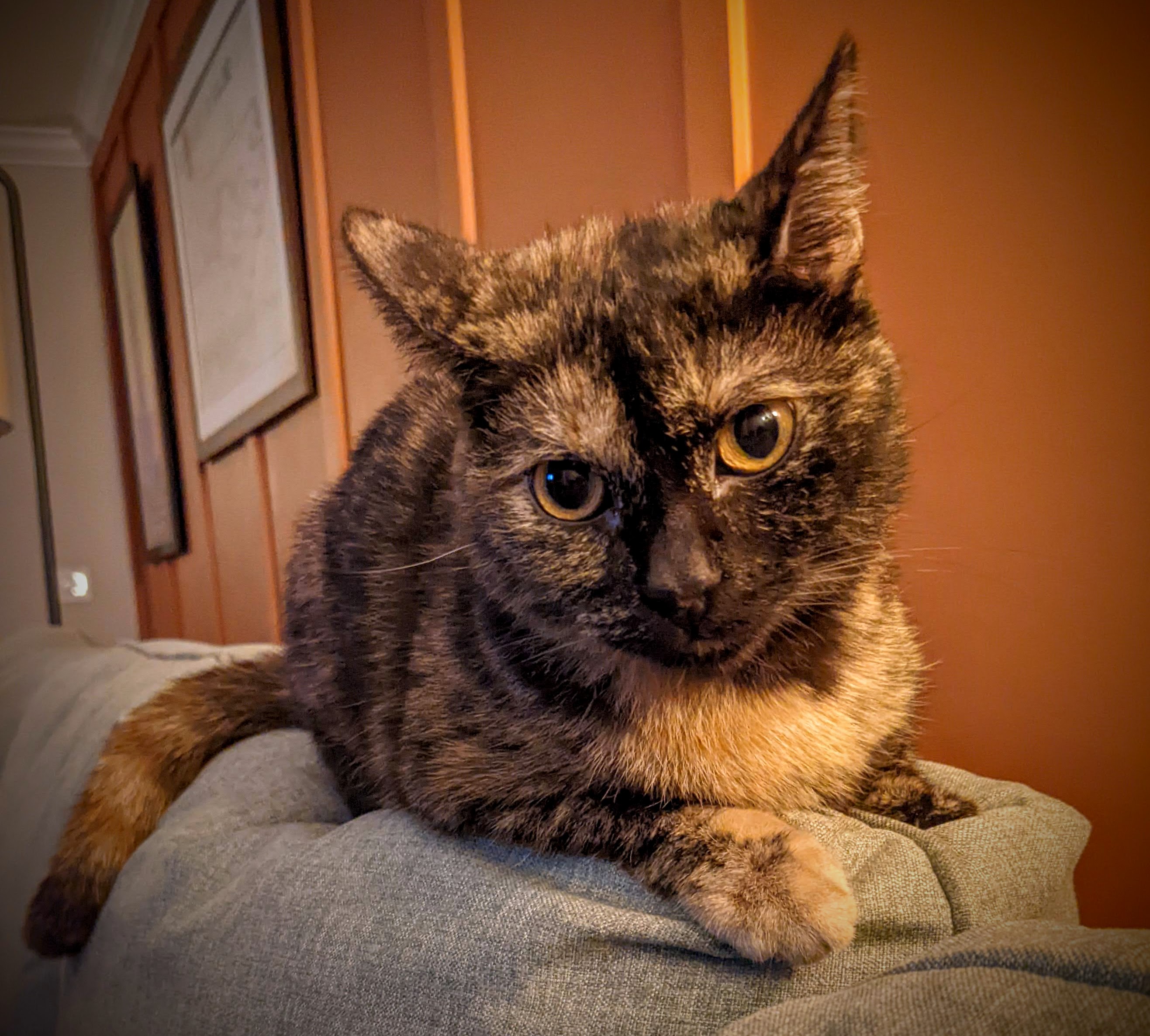 Fiona